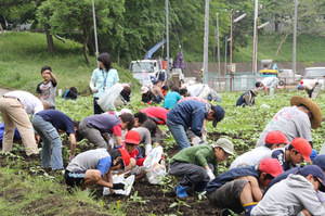 keiyouginkounokihu 008-.jpg